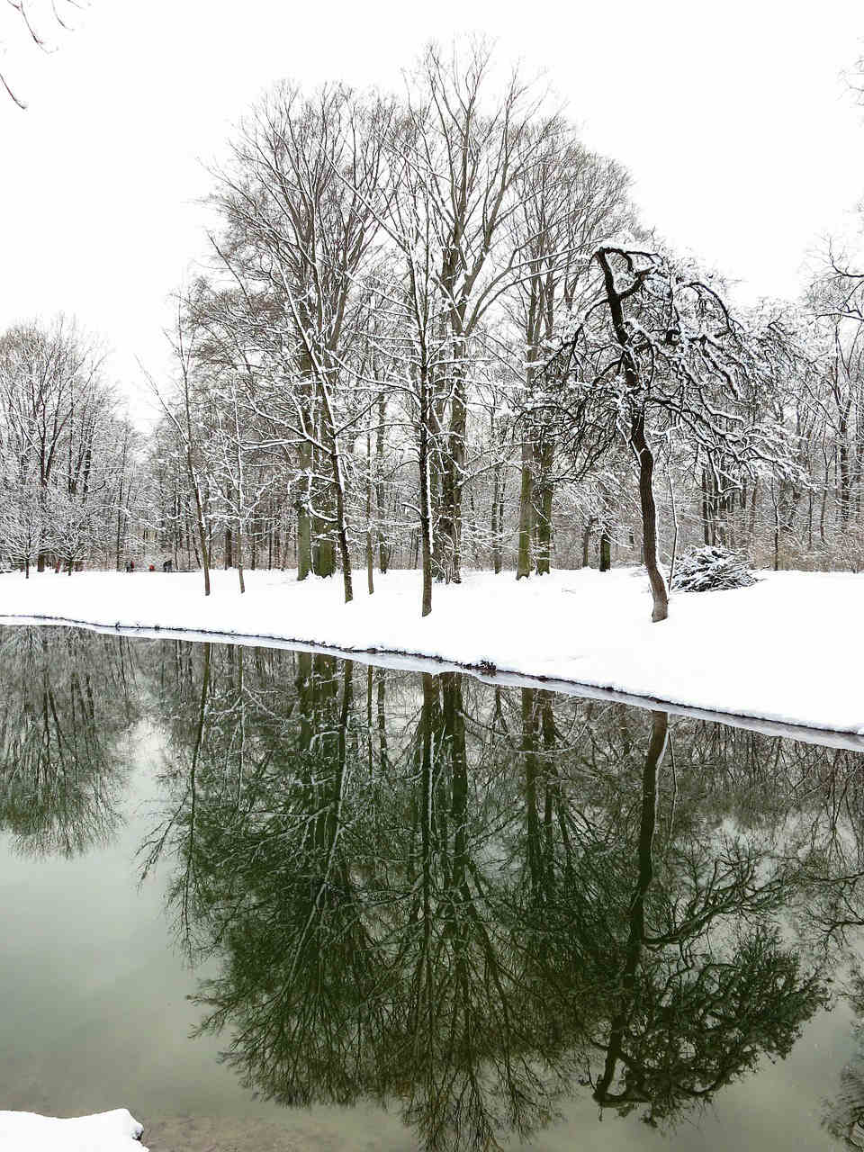 Winter-Schnee-Englischer-Garten.jpg